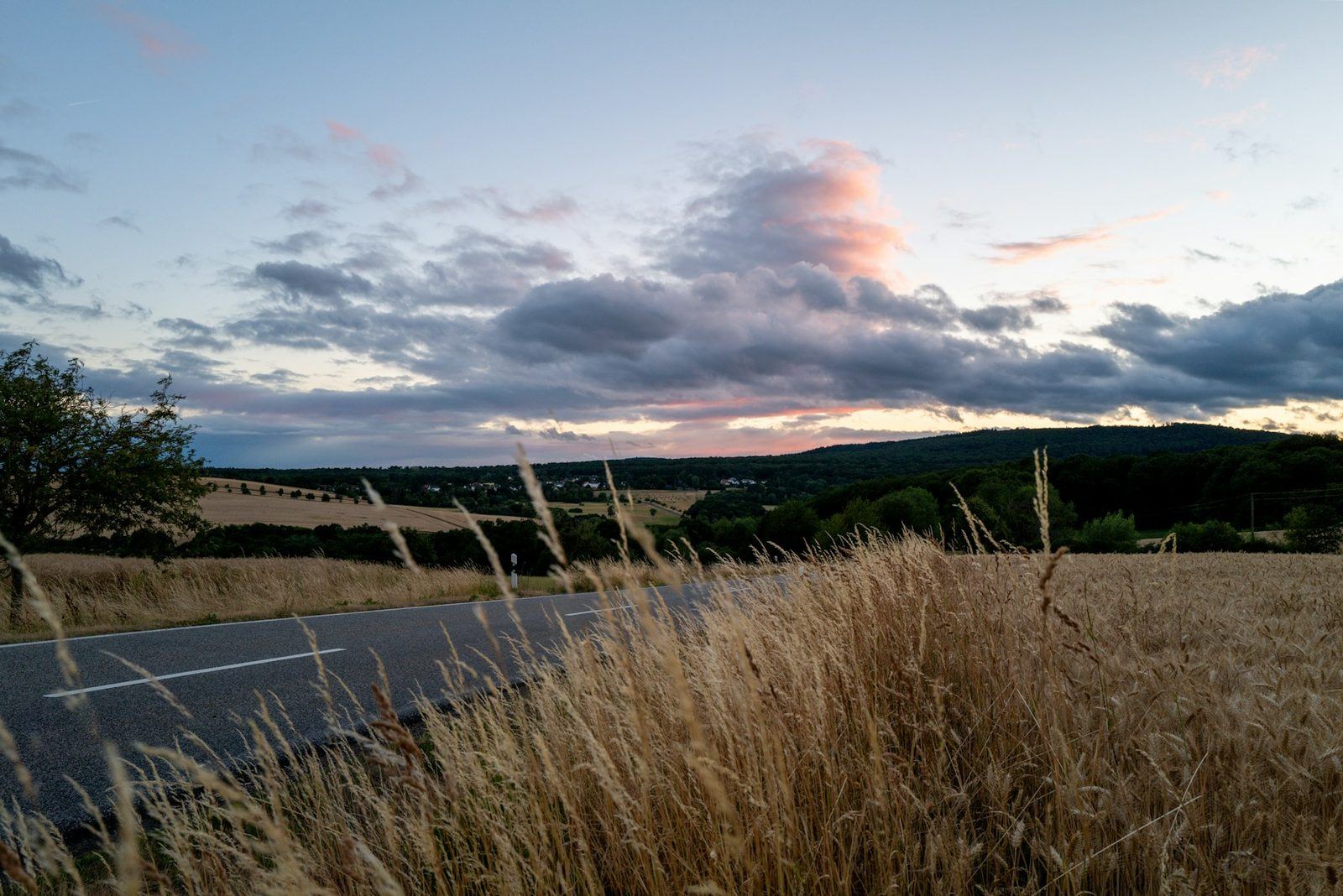 Landstraße in der Dämmerung, am Rand ein Kornfeld